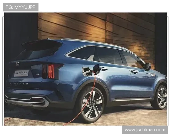 起亚曾赞助哪支意甲球队?合作案例与营销成效 起亚曾赞助哪支意甲球队?合作案例与营销成效