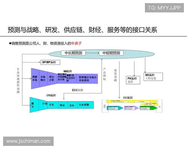 高端健身器材制造企业如何构建全球化供应链体系